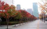 South Korea condominiums in seoul South Korea condominiums in seoul
